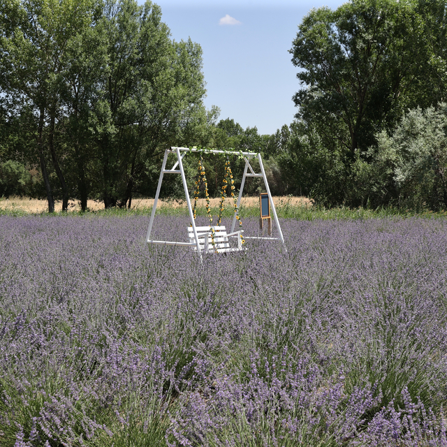 Astım hastası eşinin sağlığı için yerleştiği köyünde lavanta bahçesi kurdu
