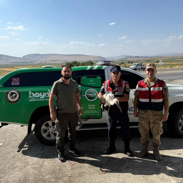 Batman'da jandarmanın bulduğu yaralı leylek tedaviye alındı