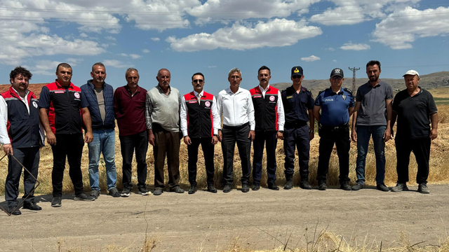 Gemerek'te buğday hasadı başladı