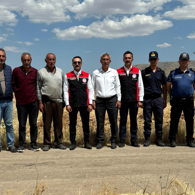 Gemerek'te buğday hasadı başladı