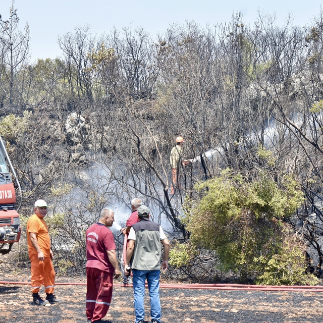 Antalya'da çıkan orman yangını söndürüldü
