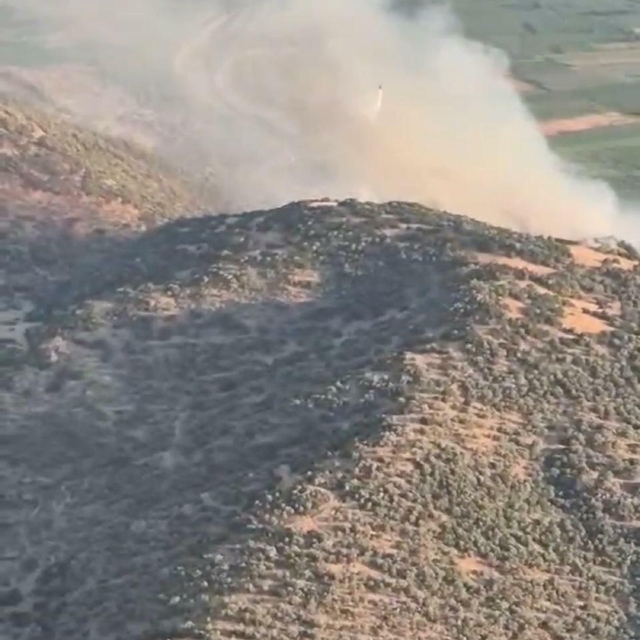 Nazilli'deki maki yangınına ilişkin 1 kişiye gözaltı