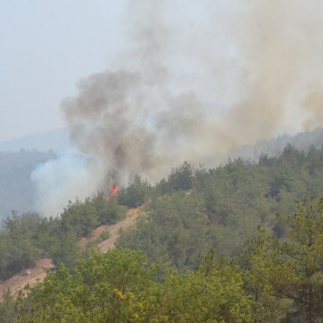 Sakarya'daki orman yangını 3'üncü gününde (5)
