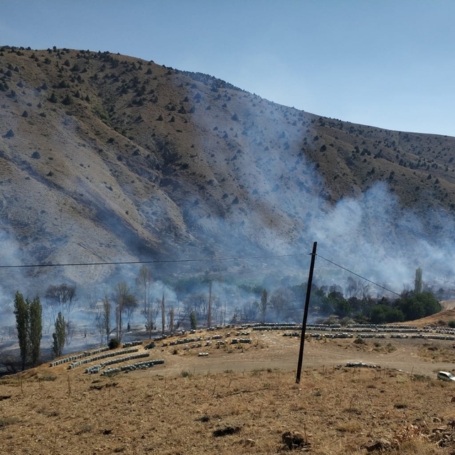 Niğde'de ağaçlık alanda çıkan yangın kontrol altına alındı