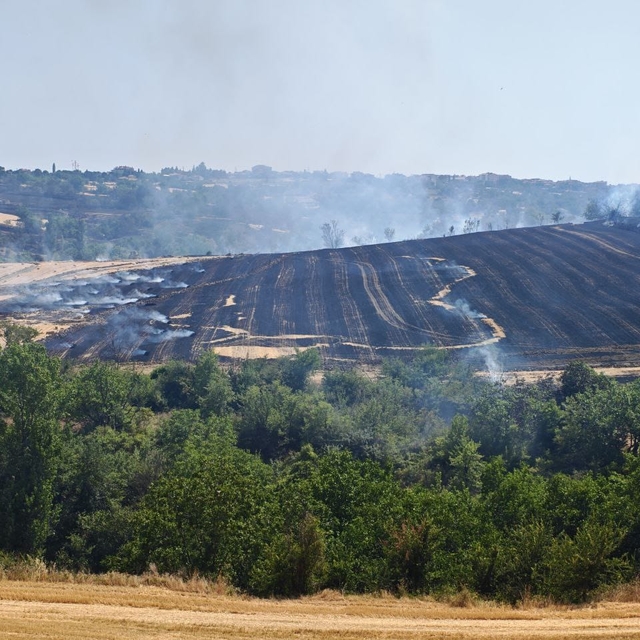 Tekirdağ'da çıkan anız yangını söndürüldü