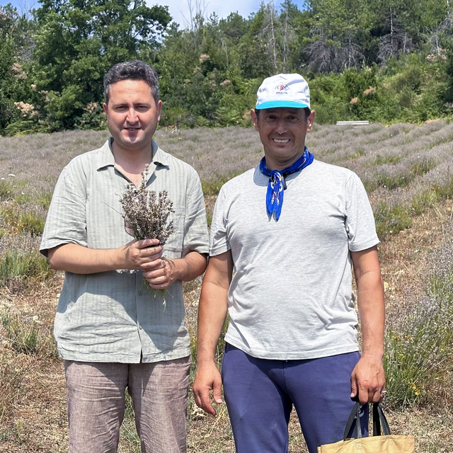 Kastamonu'da turizmcinin atıl tarlasına kurduğu lavanta bahçesinde hasat şö...