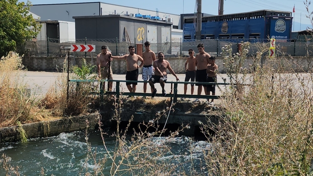 Tehlikeye aldırmadan sulama kanalında serinlediler