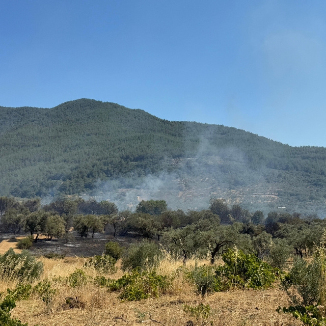 İzmir'de zirai alanda çıkan yangın kontrol altına alındı