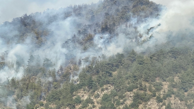 Karabük'te orman yangını