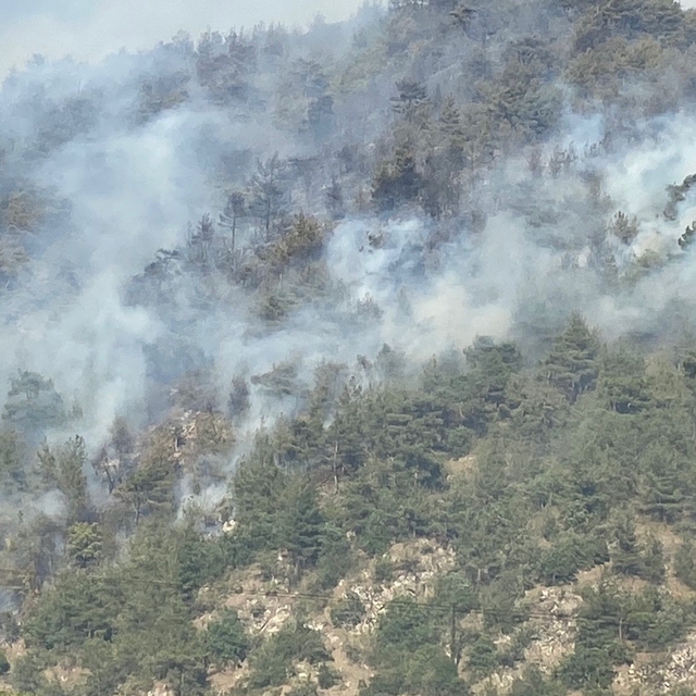 Karabük'te orman yangını