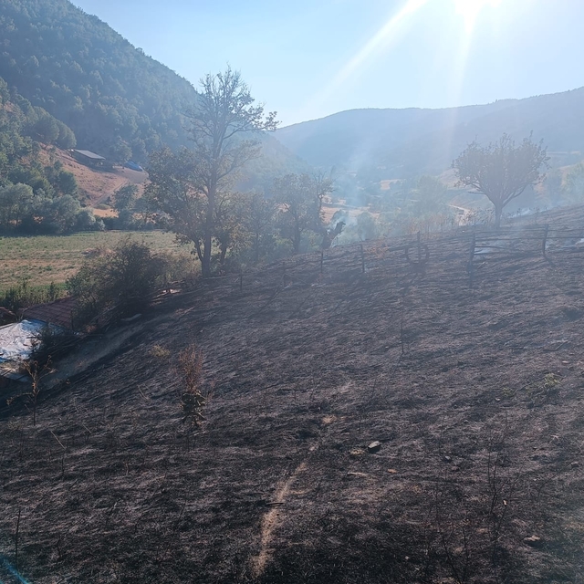 Tokat'ta çıkan yangında 10 dönümlük alan zarar gördü