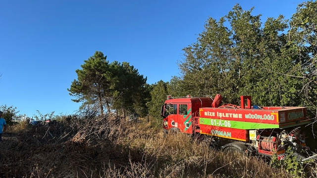 Sakarya'nın Adapazarı ve Hendek ilçesinde orman yangını çıktı