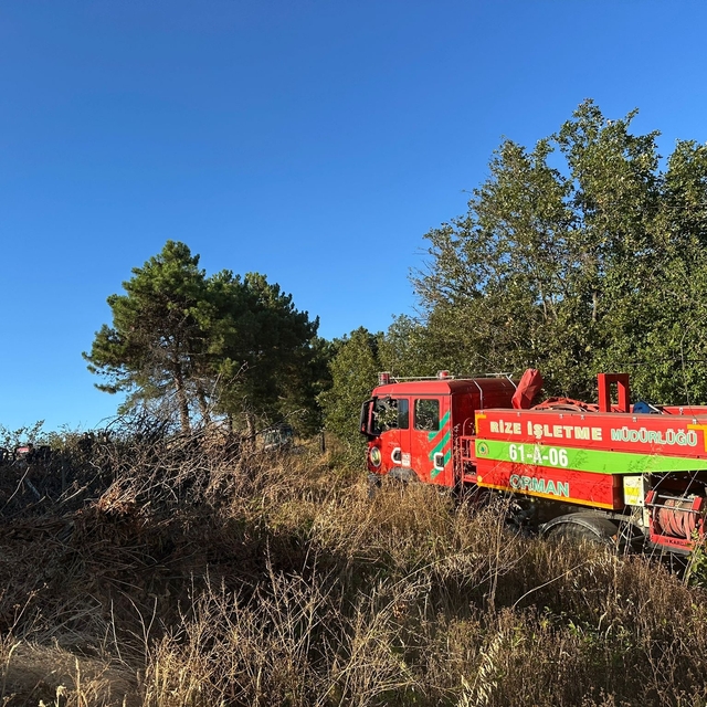 Sakarya'nın Adapazarı ve Hendek ilçesinde orman yangını çıktı