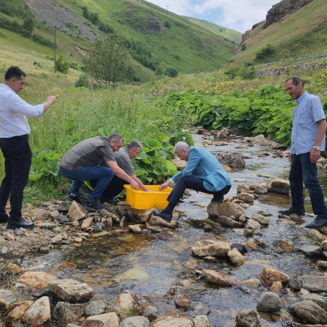 Trabzon'daki Karadere Vadisi'ne 15 bin alabalık yavrusu bırakıldı