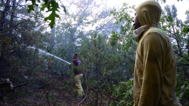 Eskişehir'de orman yangını (3)