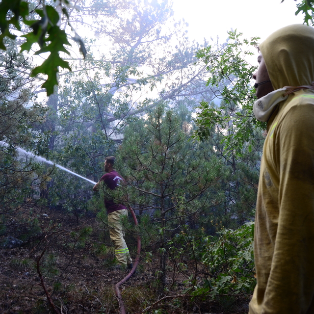 Eskişehir'de orman yangını (3)