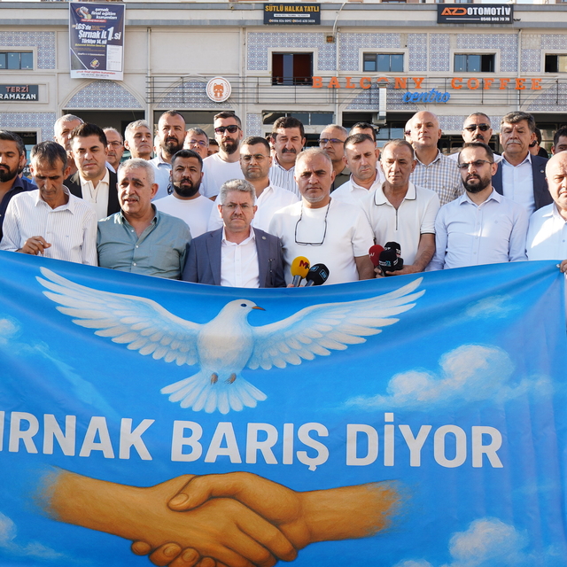 Sivil toplum kuruluşlarından 'Şırnak barış istiyor' açıklaması