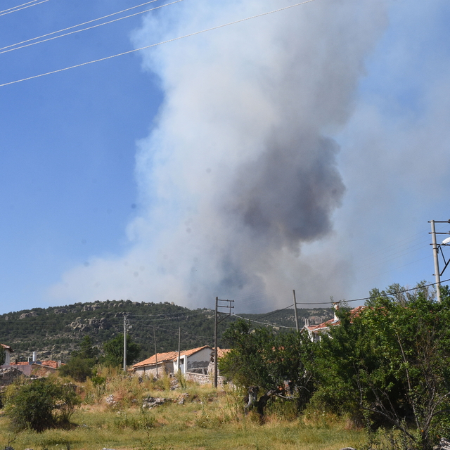 Eskişehir'de çıkan orman yangıyla ilgili Afyonkarahisar'da bir köy boşaltıl...