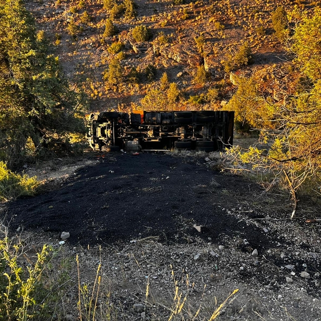 Giresun'da şarampole devrilen asfalt yüklü kamyonun sürücüsü yaralandı