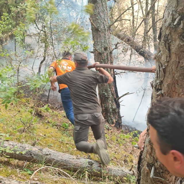 Karabük'te orman yangını (2)