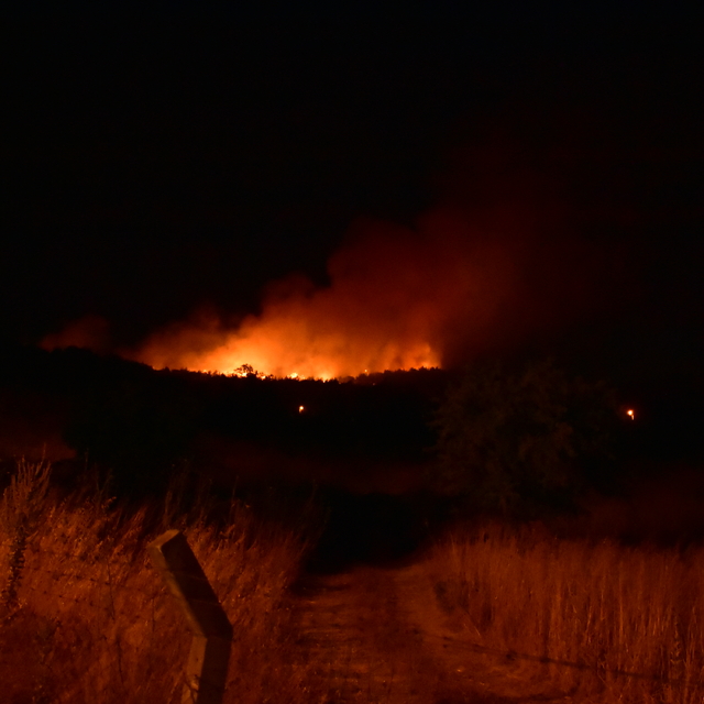 İzmir'de orman yangını (2)