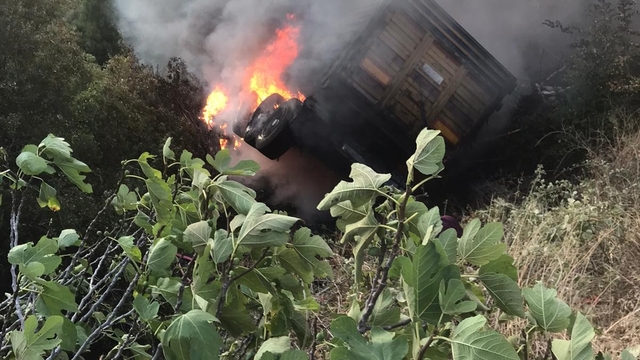 Manisa'da kamyon şarampole devrildi, çıkan yangın ormana sıçramadan söndürüldü: 1 yaralı