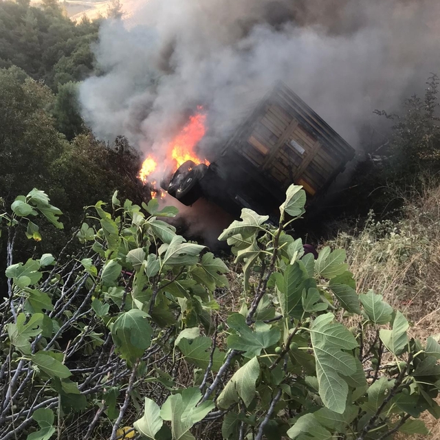 Manisa'da kamyon şarampole devrildi, çıkan yangın ormana sıçramadan söndürü...