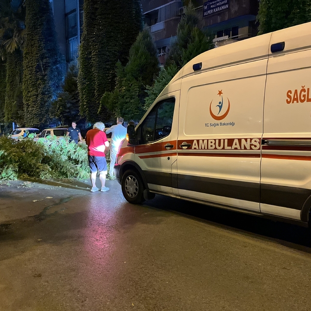 Seyir halindeyken üzerine ağaç dalları düşen motosikletli yaralandı