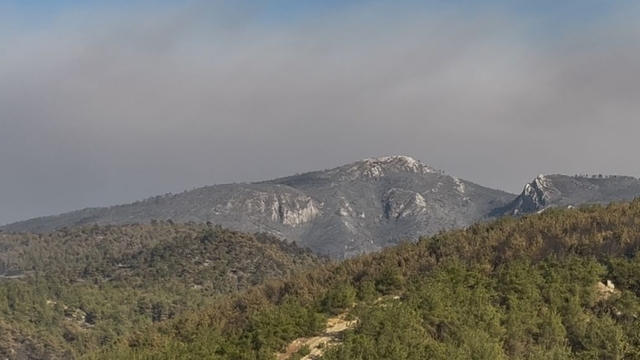 Sakarya Geyve'deki orman yangını 4'üncü günde kısmen kontrol altında