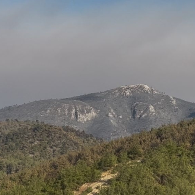 Sakarya Geyve'deki orman yangını 4'üncü günde kısmen kontrol altında
