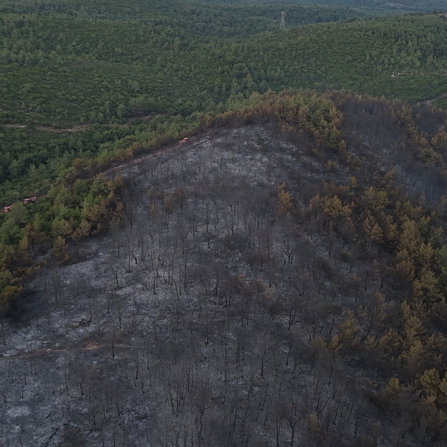 İzmir'deki orman yangını 2'nci gününde; yanan alanlar dronla görüntülendi