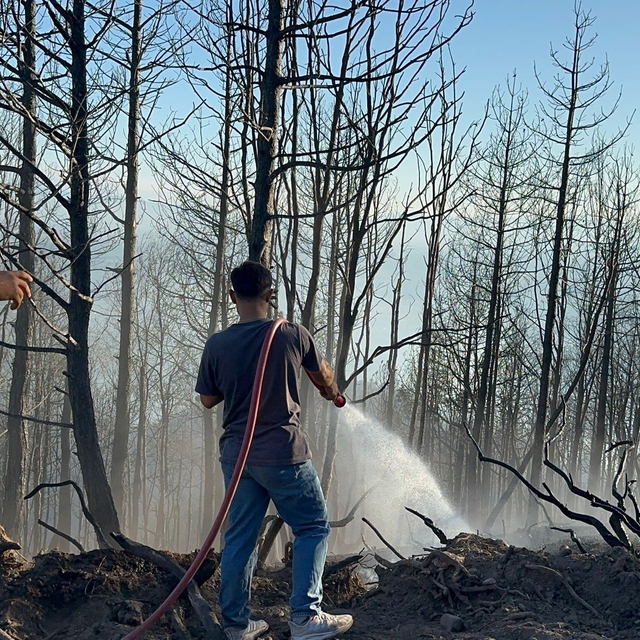 Sakarya Hendek'teki yangın kontrol altında
