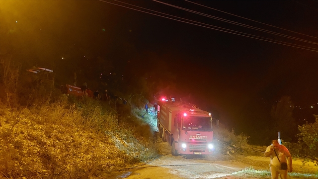 Sakarya'da ormanlık alanda çıkan yangın kontrol altına alındı