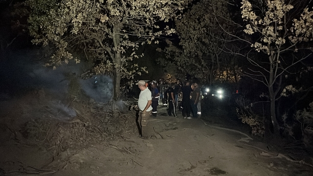 Gebze'de orman yangını 3 saatte söndürüldü