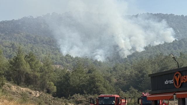 Sakarya'dan Bilecik tarafına sıçrayan orman yangınına 3. gününde müdahale sürüyor