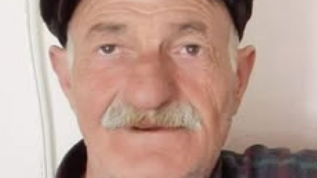 Tunceli'de otomobilin çarptığı yaya öldü