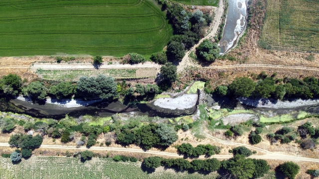 Tunca Nehri'nin kuruma noktasına geldiği Edirne'de, çeltik üreticisi tedirgin