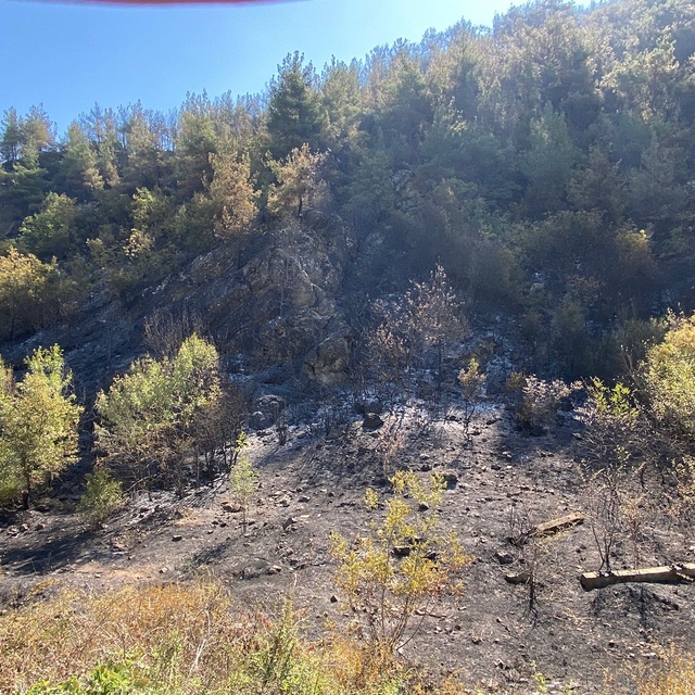 Karabük'te orman yangınına müdahale sürüyor; 55 hektar alan zarar gördü