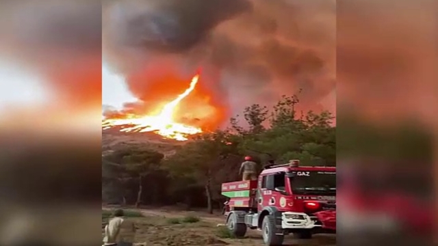 Bilecik'teki orman yangınında ateş hortumu oluştu