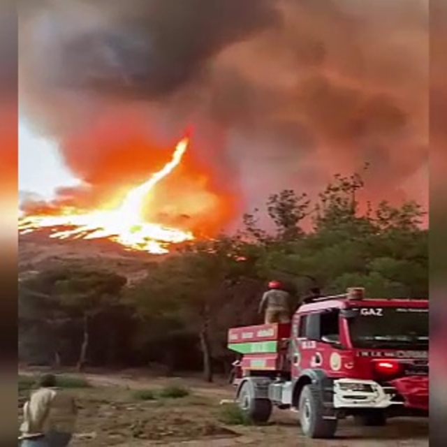 Bilecik'teki orman yangınında ateş hortumu oluştu