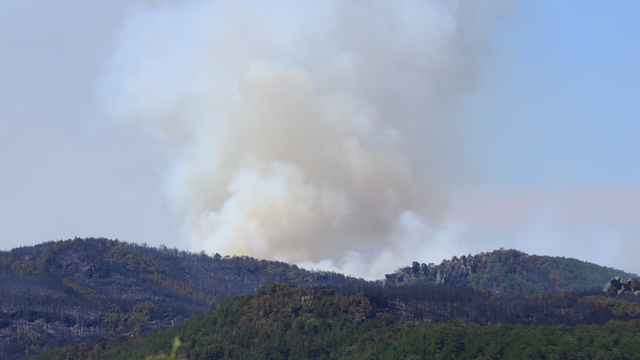 Eskişehir'deki orman yangını 2'nci gününde