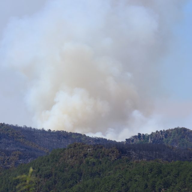 Eskişehir'deki orman yangını 2'nci gününde