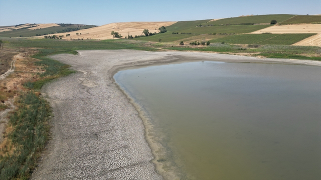 Tekirdağ'da su seviyesi düşen gölette oksijensiz kalan balıklar telef oldu