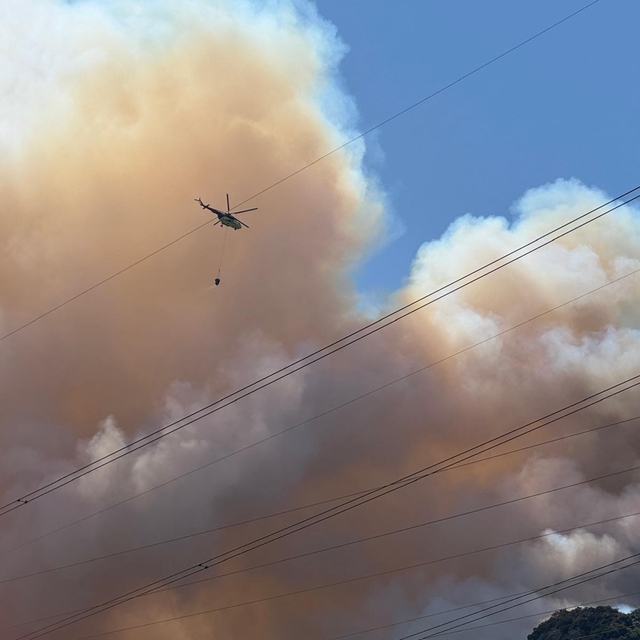 Sakarya'da ormanlık alanda çıkan yangına müdahale ediliyor