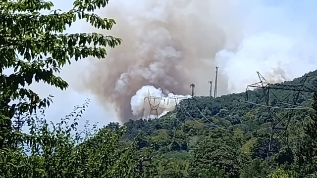 Sakarya Geyve'de yeni orman yangını (2)