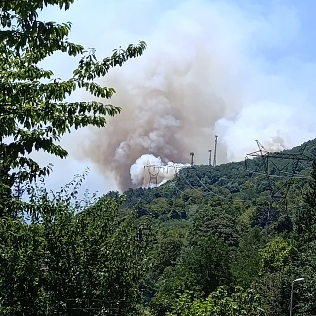 Sakarya Geyve'de yeni orman yangını (2)