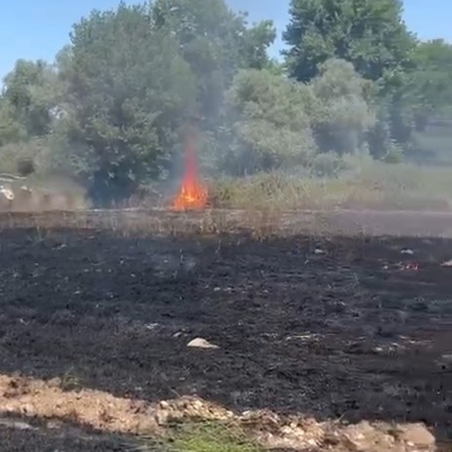 Kocaeli'de ot yangını söndürüldü