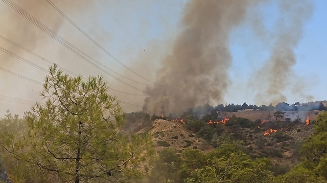 Denizli'nin Çal ilçesinde çıkan orman yangınına müdahale ediliyor