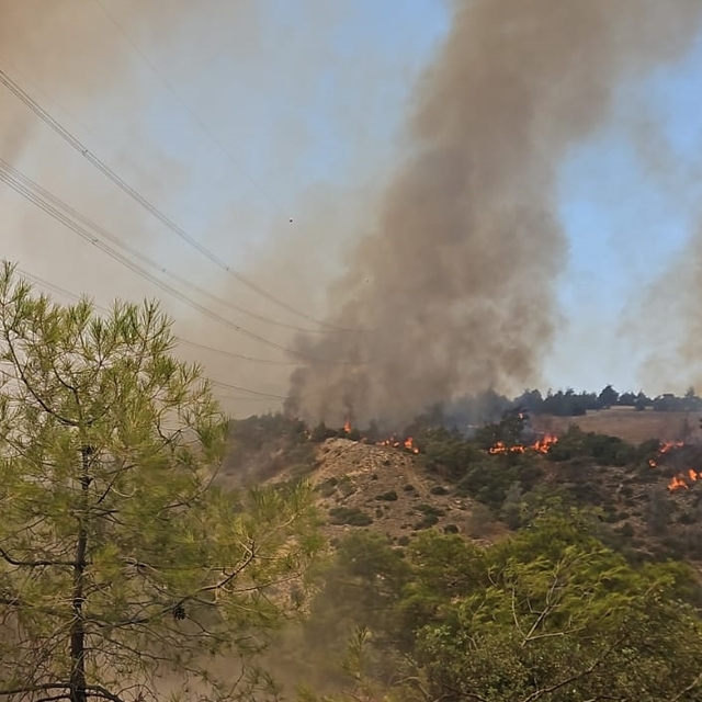 Denizli'nin Çal ilçesinde çıkan orman yangınına müdahale ediliyor