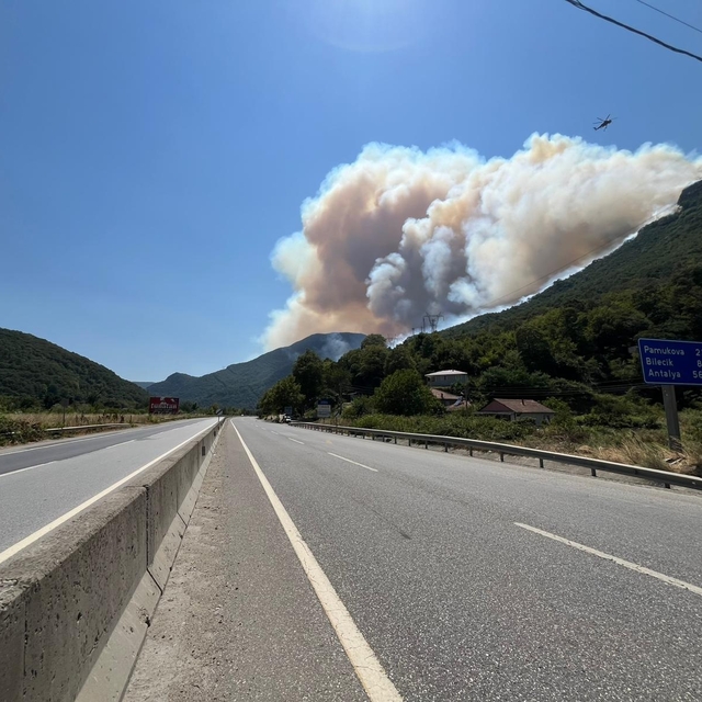 Sakarya Geyve'de yeni orman yangını (3)